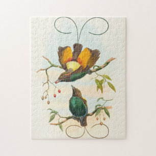 Prächtiger Paradiesvogel von John Gould Puzzle