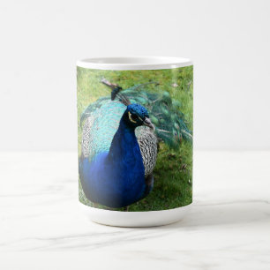 Prächtiger Pfau  Kaffeetasse