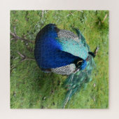 Prächtiger Pfau-Power Puzzle (Horizontal)