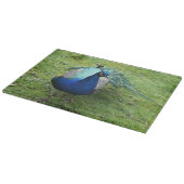Prächtiger Pfau Schneidebrett (Ecke)