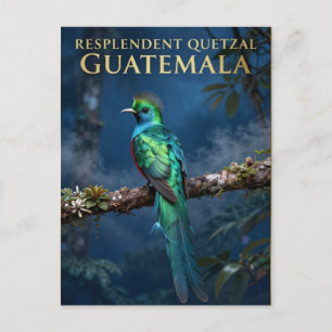 🐦 Prächtiger Quetzal Guatemala Wolkenwald Postkarte