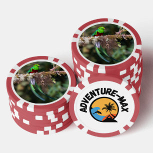 Prächtiger Quetzal im Wolkenwald Pokerchips