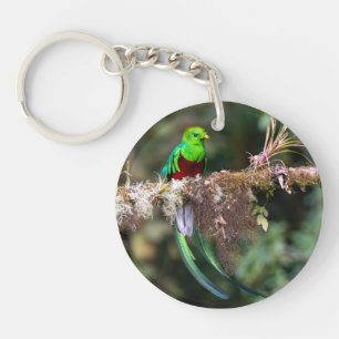 Prächtiger Quetzal im Wolkenwald Schlüsselanhänger