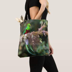 Prächtiger Quetzal im Wolkenwald Tasche