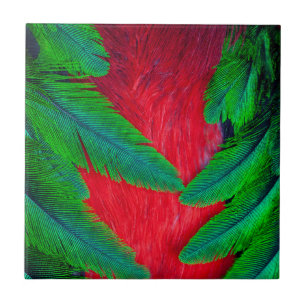 Prächtiges Quetzal-Federdesign Fliese