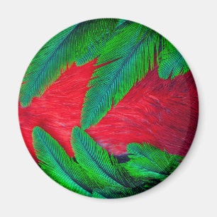 Prächtiges Quetzal-Federdesign Magnet