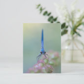Prachtlibelle Postkarte (Stehend Vorderseite)