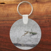 Prachtmantis Schlüsselkette Schlüsselanhänger (Vorderseite)