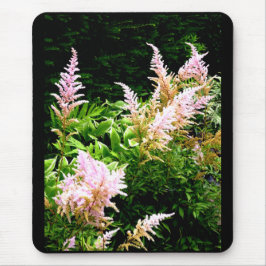 Prachtspiere Mousepad