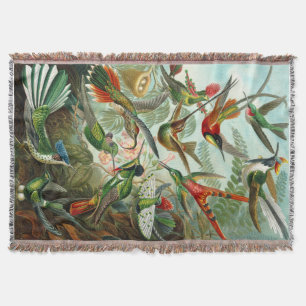 Prachtvolle Ernst Haeckel Kolibris Decke