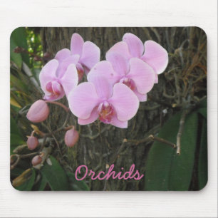 Prachtvolle Orchideen Mousepad