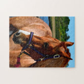 Prachtvolles Pferd Puzzle (Horizontal)