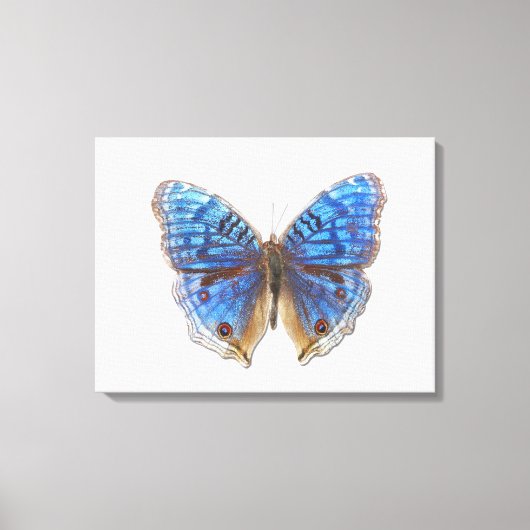 Präcis-Rhadama Leinwanddruck (Vorderseite)