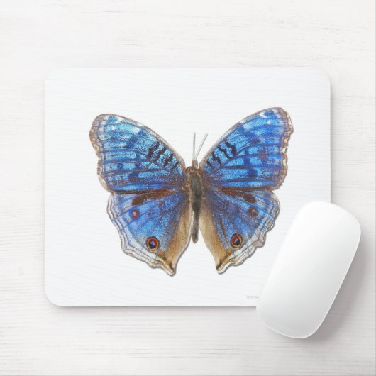 Präcis-Rhadama Mousepad (Mit Mouse)