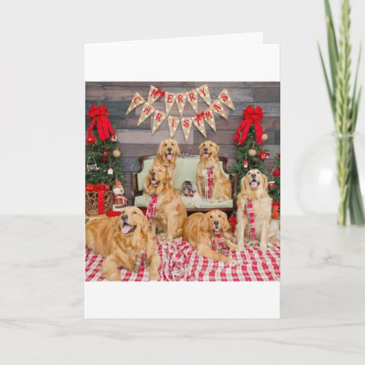 Pradas Bündel-Weihnachtskarte Feiertagskarte (Vorderseite)