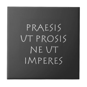 Praesis ut prosis ne ut imperntuis fliese