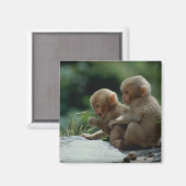 Präfektur Nagano, Japan Magnet (Vorderseite/Rückseite)