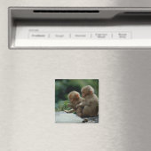 Präfektur Nagano, Japan Magnet (In Situ (Geschirrspüler))