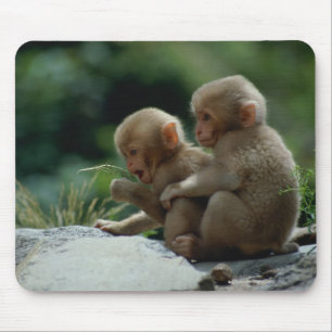 Präfektur Nagano, Japan Mousepad