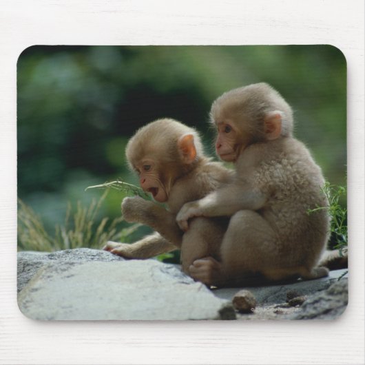 Präfektur Nagano, Japan Mousepad (Vorne)