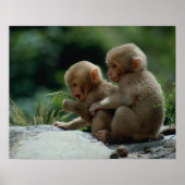 Präfektur Nagano, Japan Poster (Vorne)