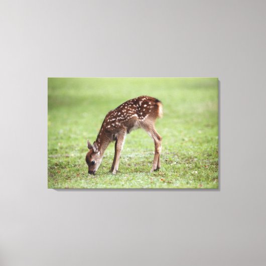 Präfektur Nara, Honshu, Japan 3 Leinwanddruck (Vorderseite)