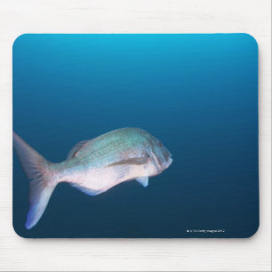 Präfektur Shizuoka, Nishizumachi, Japan Mousepad