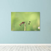 Präfektur Yamanashi, Honshu, Japan Leinwanddruck (Insitu (Holzboden))