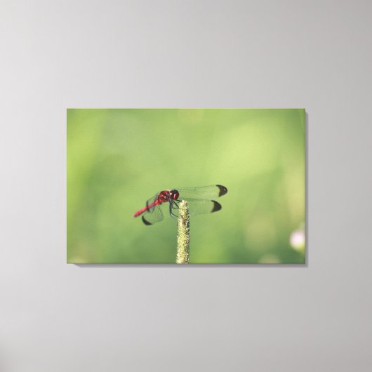 Präfektur Yamanashi, Honshu, Japan Leinwanddruck (Vorderseite)