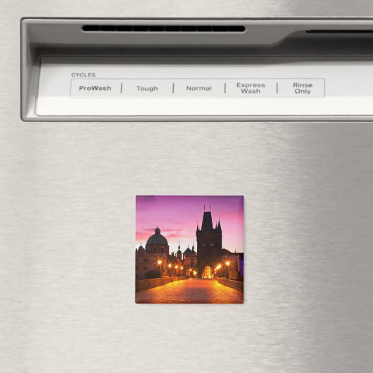 Prag 003A Magnet (In Situ (Geschirrspüler))