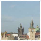 Prag-Baumwollgewebe Stoff (Nahaufnahme)