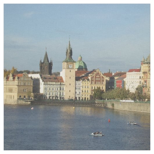 Prag-Baumwollgewebe Stoff (Muster)
