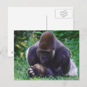 Prag Gorilla Post Card Postkarte (Vorne/Hinten)