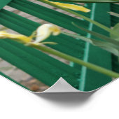 Prag Park Tulips - Lila und gelbe Frühlingsblüten Poster (Ecke)