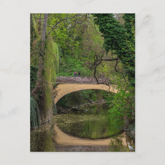 Prag, Tschechische Republik Postkarte (Vorderseite)