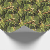 Pragation Mantis Portrait Insekt Kunst Geschenkpapier (Ecke)