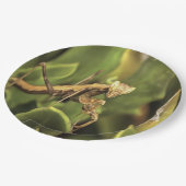 Pragation Mantis Portrait Insekt Kunst Pappteller (Schrägansicht)