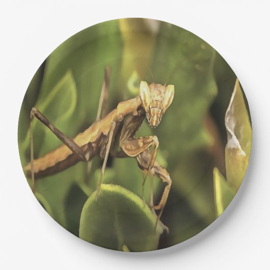 Pragation Mantis Portrait Insekt Kunst Pappteller (Vorderseite)