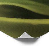 Pragation Mantis Portrait Insekt Kunst Poster (Ecke)