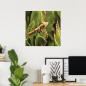 Pragation Mantis Portrait Insekt Kunst Poster (Heimbüro)