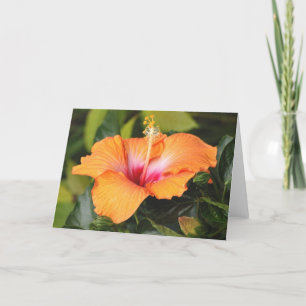 Prägeartiger korallenroter Hibiskus, über dem Meer Karte