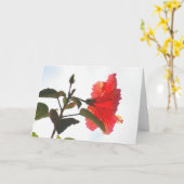 Prägeartiger roter Hibiskus, Cloudscape Karte (Gelbe Blume)