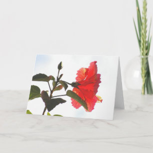 Prägeartiger roter Hibiskus, Cloudscape Karte