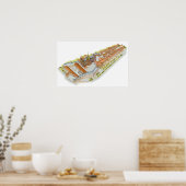 Prager Burg. Prag Tschechische Republik Poster (Küche)