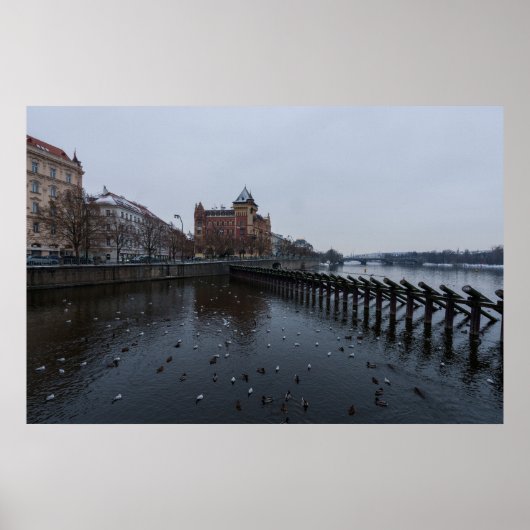 Prager Holzmauer am Fluss Moldau Poster (Vorne)
