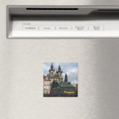 pragmatischer Kühlschrankmagnet (In Situ (Geschirrspüler))