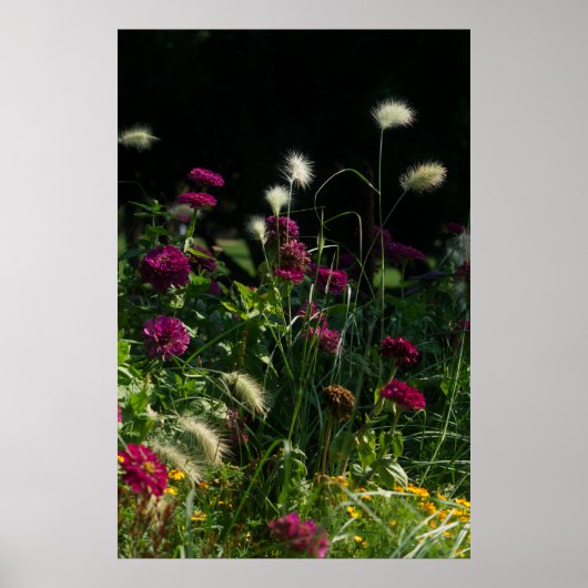 Prague Park Flower Garden Poster (Vorne)