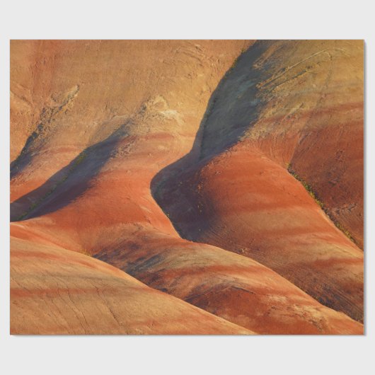 prähistorisch geschenkpapier (Flach)