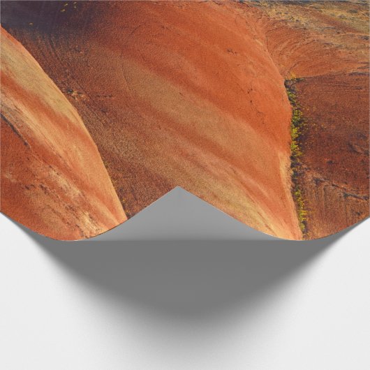 prähistorisch geschenkpapier (Ecke)