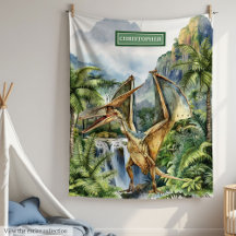 Prähistorische Dinosaurier Boys Geburtstag Blanket